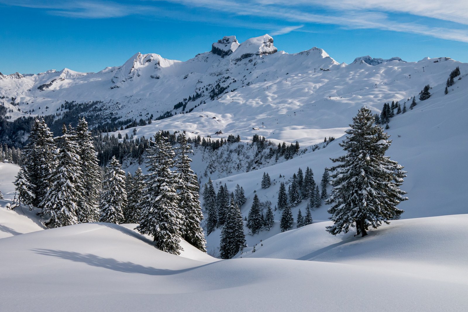 Deportes de Nieve